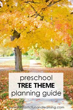 an autumn tree with the words preschool tree theme planning guide