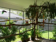 the inside of a house with trees and plants in pots on the ground near a fence