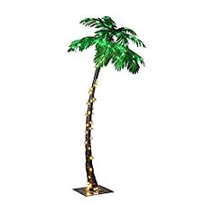 a tall palm tree with lights on it's trunk is shown in front of a white background