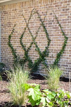 some plants are growing on the side of a brick wall in front of a building