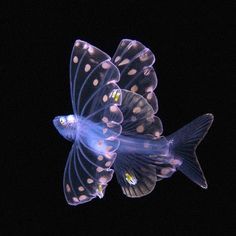 a blue and white butterfly flying in the air with its wings spread out to look like it