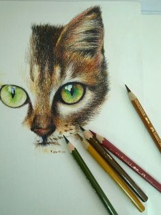 a drawing of a cat's face with green eyes and pencils next to it