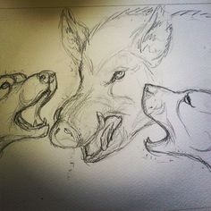 a drawing of two dogs with their mouths open and one dog's head in the middle