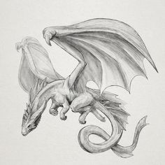 a pencil drawing of a dragon flying in the air