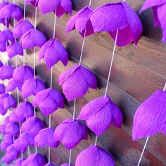 purple paper umbrellas are hung up on the side of a wooden wall with string