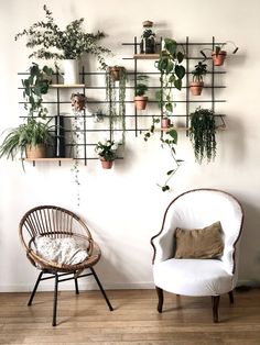 two chairs and some plants on a wall