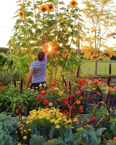 a man standing next to a garden filled with lots of flowers