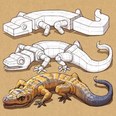 three different types of lizards and lizards are shown in this drawing technique, including the tail