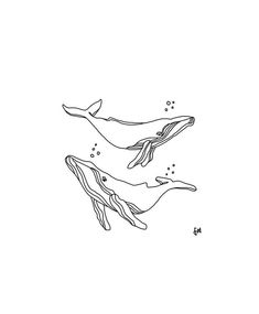 an ink drawing of two whales swimming in the ocean with their tails spread out, and bubbles