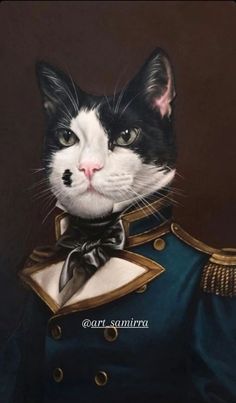 a black and white cat wearing a blue uniform with a bow tie on it's head