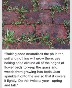 an image of a brick walkway with grass growing on it and the caption below