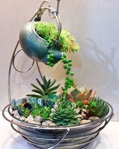 a potted plant sitting on top of a metal bowl filled with succulents