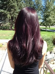 Ref Hair Color Red, Purple Hair Color On Black Hair, Cherry Coke Red Hair Color Burgundy Purple, Wine Purple Hair Color, Plum Berry Hair, Dark Purple Layered Hair, Red Hair In Black Hair, Berry Black Hair, Cherry Cola Purple Hair