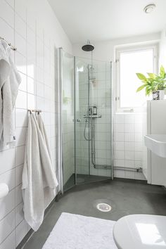 a bathroom with a shower, sink and toilet next to a plant in the corner