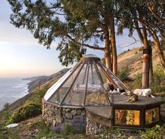 two dogs laying on top of a table next to trees and the ocean in the background