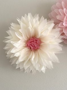 two pink and white paper flowers on a wall