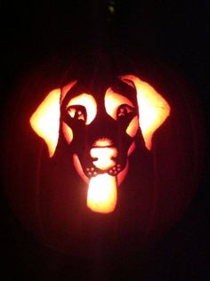 a dog carved into a pumpkin with its head turned to look like it is in the dark