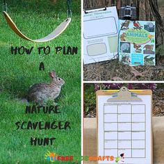 there are pictures of animals in the grass and one has a sign that says how to plan a nature scavenger hunt