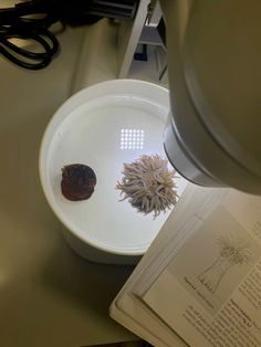 a white plate sitting on top of a table next to a book