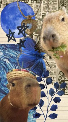 the capybara is wearing a straw hat