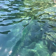 the water is so clear that it looks like they are floating in the ocean or on land