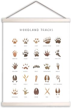 the woodland tracks poster is hanging on a white wall and features different types of hand prints