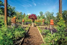 a garden filled with lots of different types of plants