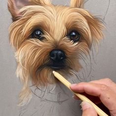 a drawing of a dog with a pencil in it's mouth while being petted by someone