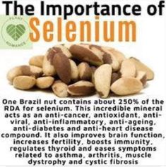 Brazil Nuts Benefits, Selenium Benefits, Cycling Nutrition, Brazil Nut, Food Health Benefits, Brazil Nuts, Healthy Food Facts, Home Health Remedies, Herbs For Health