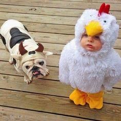 a small dog standing next to a little boy in a chicken costume on a wooden deck