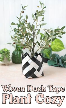 a potted plant sitting on top of a table next to other plants and greenery