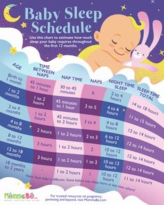 a baby sleeping schedule with the time and times for each child to sleep on it