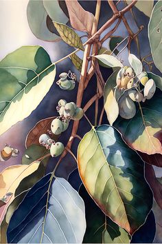 a painting of leaves and buds on a tree branch