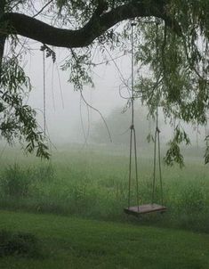 a swing in the middle of a grassy field