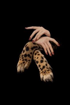 a woman's hands with red nail polish holding a cheetah