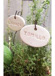 two white ceramic tags with the word tomillo hanging from them in front of some plants