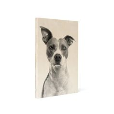 a black and white photo of a dog's face on a wood block, with the image of a dog looking directly into the camera