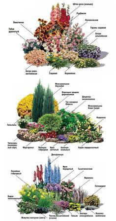 four different types of flowers and their names in each flower garden, with the corresponding parts labeled