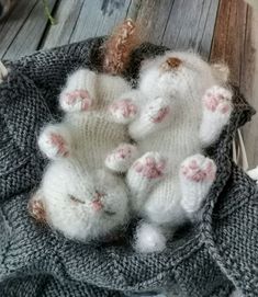 three small white teddy bears in a gray knitted basket on a wooden table top