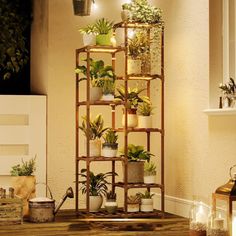 a shelf filled with potted plants on top of a wooden table