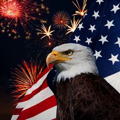 an eagle with the american flag and fireworks in the background