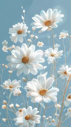 white daisies against a blue sky with long stems in the foreground and bottom right corner