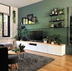 a living room filled with furniture and lots of plants on the wall above it's entertainment center