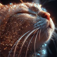 a close up of a cat's face with glitter all over it