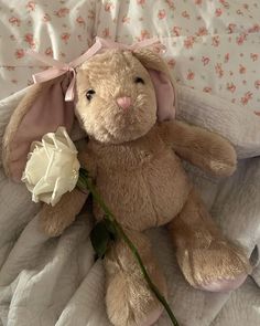 a teddy bear with a pink bow holding a white rose