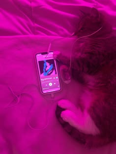 a cat laying on top of a bed next to a cell phone and ear buds