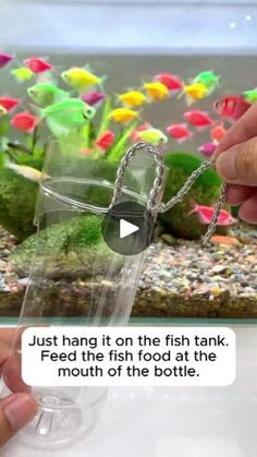 someone is holding a fish tank in their hand and it's saying, just hang it on the fish tank feed the fish food at the mouth