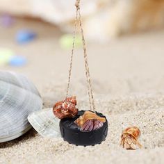 two seashells are hanging from chains on the sand