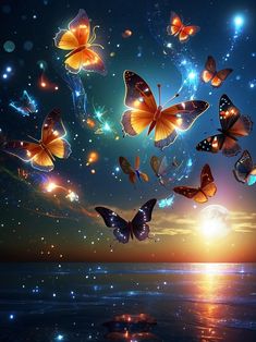 many butterflies flying in the sky over water