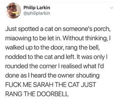 a tweet with the caption that reads, just spotted a cat on someone's porch